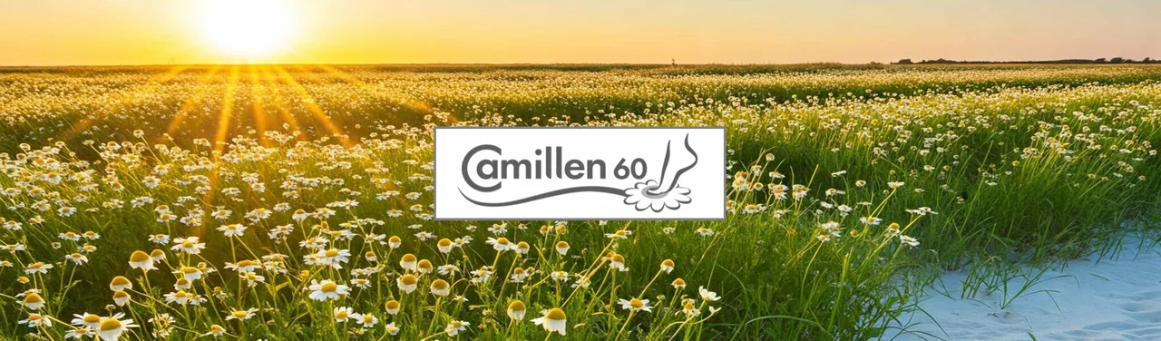 CAMILLEN 60 Fuß- und Handpflege mit Hauptwirkstoff Kamillenextrakt