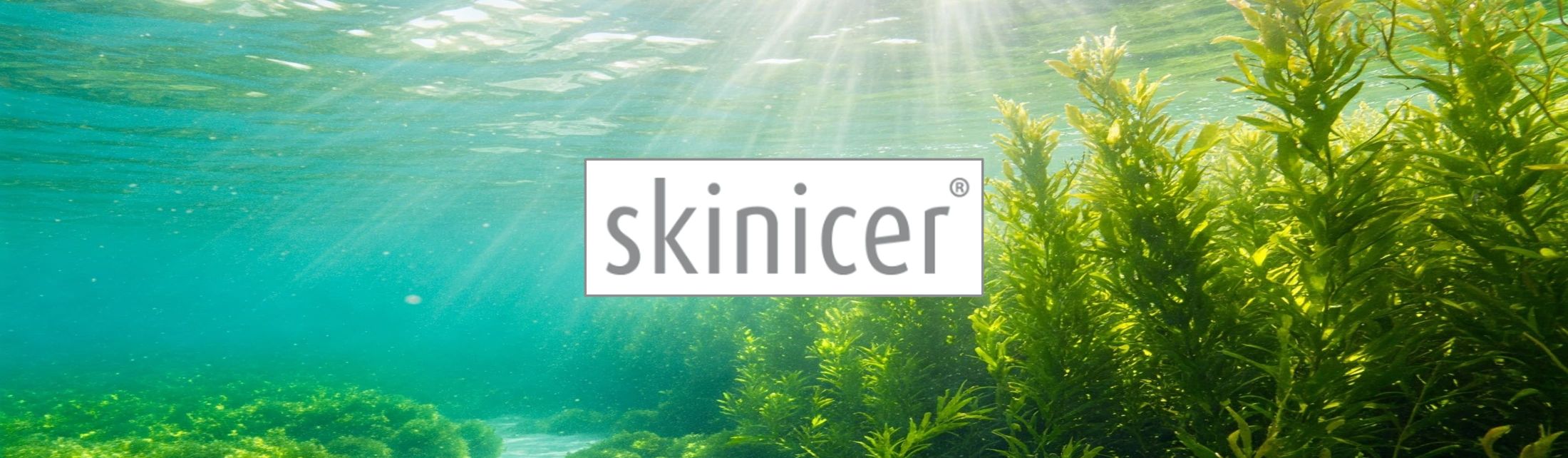 Skinicer® – im Webshop HautHandFuss
