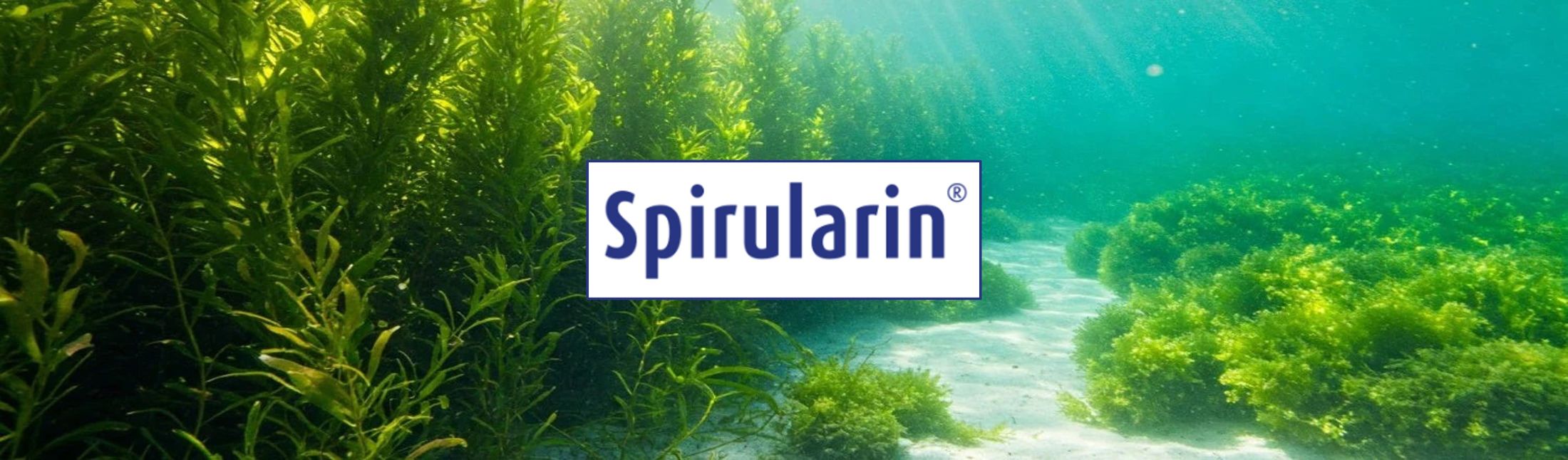 Spirularin® – im Webshop HautHandFuss